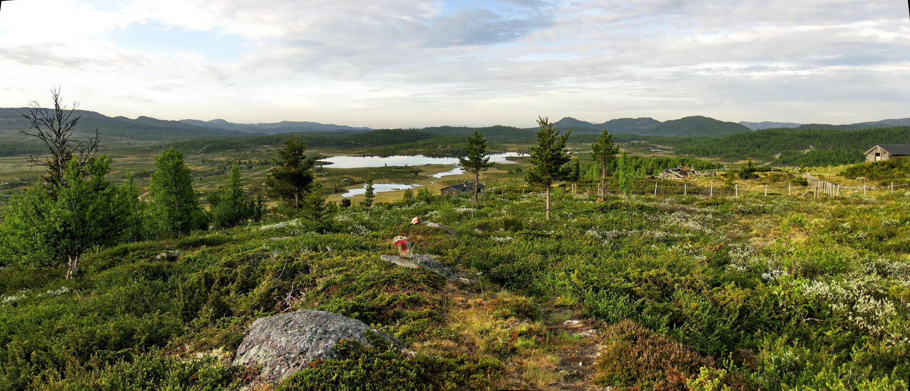 Briskerud